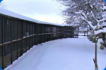 Bridge Cattery - Winter Scene